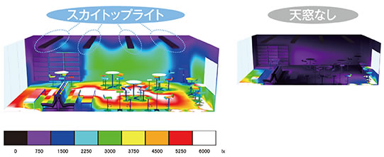 スカイトップライトと天窓なしの比較